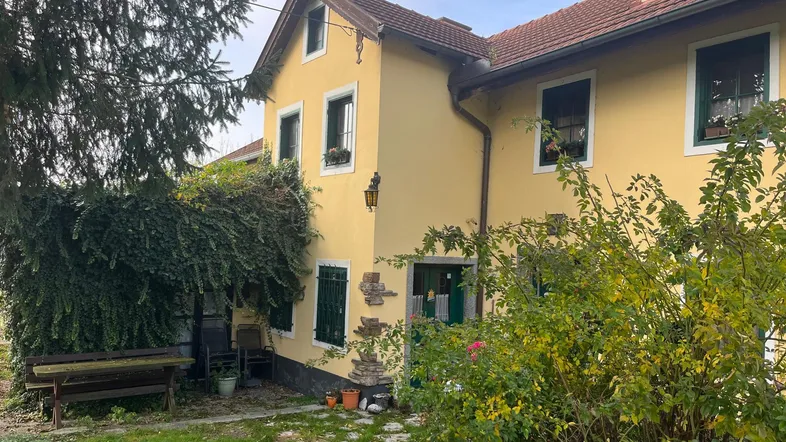 Gelbes Landhaus mit grünen Fensterläden und üppiger Vegetation im Vorgarten, umgeben von Natur.