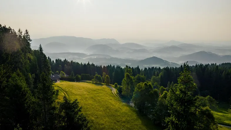Panoramablick über bewaldete Hügel, grüne Wiesen und ferne Berge unter strahlender Sonne.