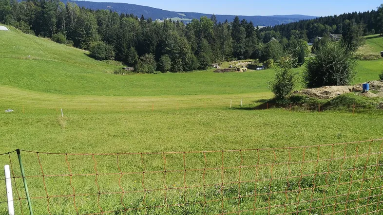 Weitläufige grüne Landschaft mit sanften Hügeln und Wäldern unter blauem Himmel an einem sonnigen Tag.