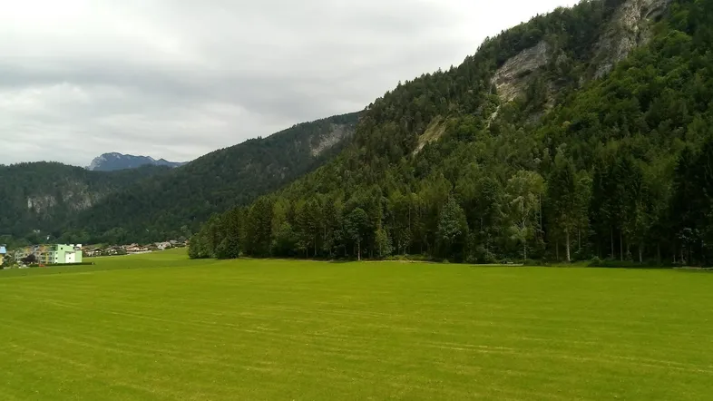 Weite grüne Wiese mit bewaldeten Bergen im Hintergrund unter bewölktem Himmel.