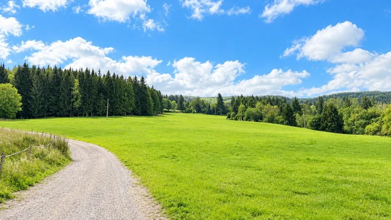 Schotterweg führt durch eine weite grüne Wiese, umgeben von dichtem Wald unter blauem Himmel.