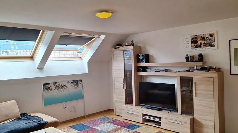 Gemütliches Wohnzimmer mit Dachfenstern, Medienschrank und Teppichboden.