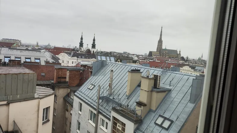 Blick über die Dächer der Stadt mit historischen Gebäuden und Kirchtürmen unter bewölktem Himmel.