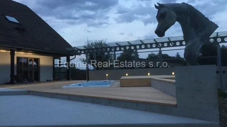 Geräumige Holzterrasse mit integriertem Whirlpool und einer markanten Pferdeskulptur unter bewölktem Himmel.