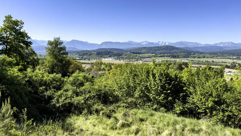 Landschaftsblick mit grünen Hügeln und schneebedeckten Bergen im Hintergrund unter blauem Himmel.