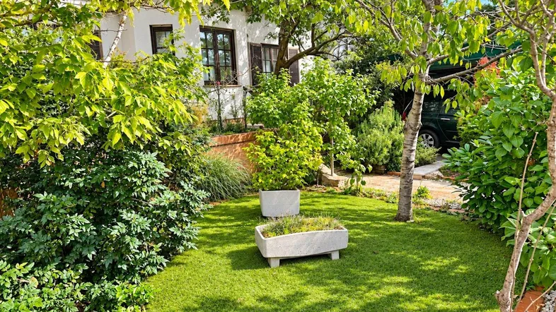 Gepflegter Gartenbereich mit Rasenfläche, Bäumen und Sträuchern vor dem Haus.