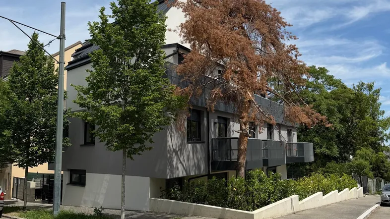 Modernes Gebäude mit grauer Fassade, Balkonen und umliegenden Bäumen an einer Straßenecke.