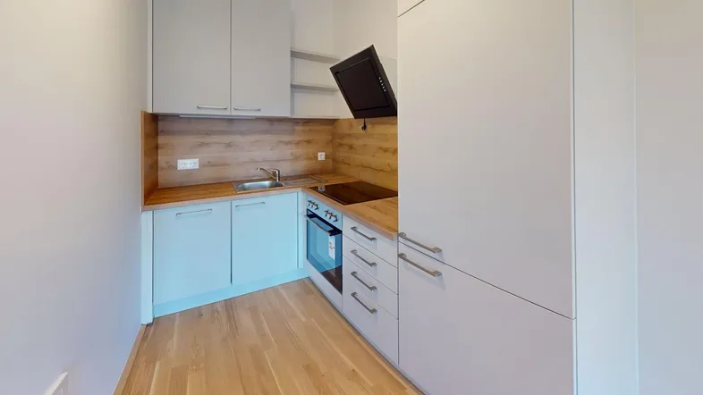 Moderne Einbauküche mit hellgrauen Fronten, Holzarbeitsplatte und Induktionskochfeld.