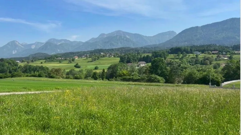 Weitläufige grüne Landschaft mit sanften Hügeln, bewaldeten Bergen im Hintergrund und vereinzelten Häusern unter blauem Himmel.