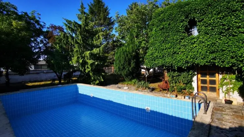 Außenpool mit blauen Fliesen und einem von Efeu bewachsenen Haus im Hintergrund unter blauem Himmel.