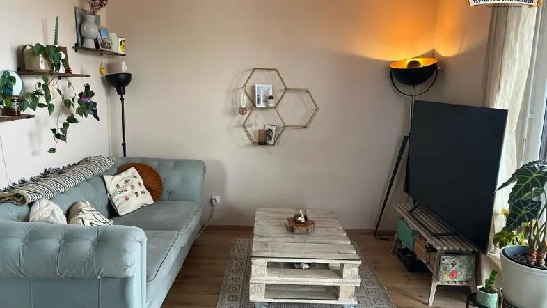 Gemütliches Wohnzimmer mit hellem Sofa, Paletten-Couchtisch, Fernseher und dekorativen Pflanzen.