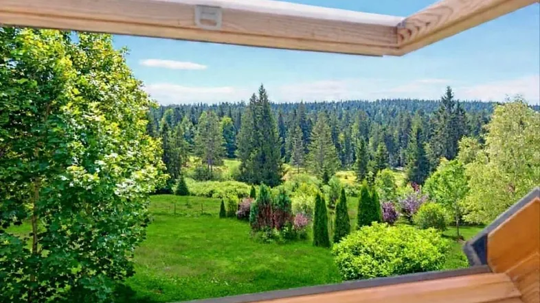 Blick aus einem Dachfenster auf eine weite grüne Landschaft mit Wald und Bäumen.