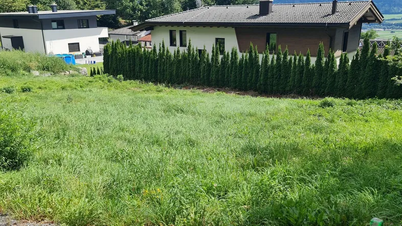 Grüne Wiese mit angrenzenden Wohnhäusern und einer hohen Hecke im Hintergrund.