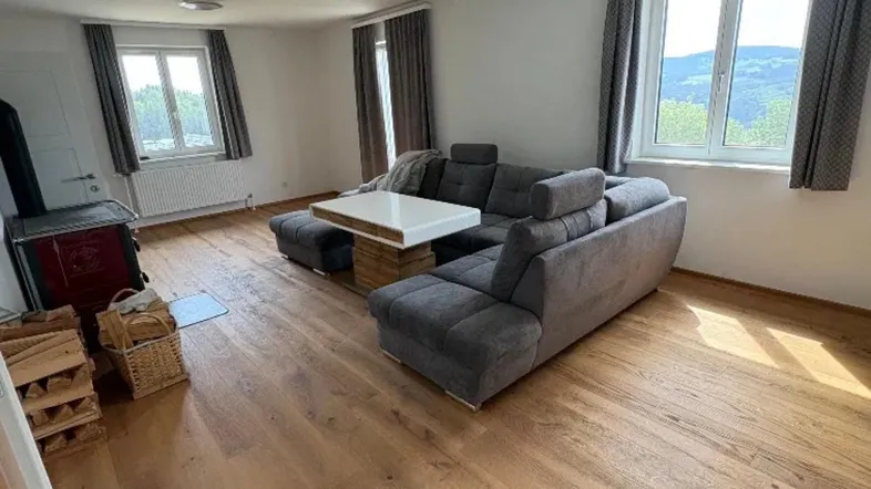 Geräumiges Wohnzimmer mit modernem Sofa, Kaminofen und Laminatboden, bietet einen schönen Ausblick.