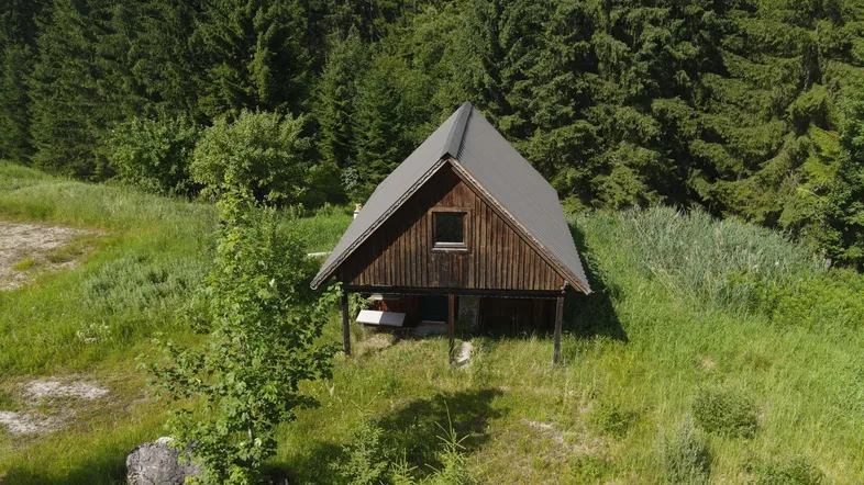 Luftaufnahme einer rustikalen Holzhütte inmitten einer grünen Wiese und umgeben von dichten Nadelwäldern.