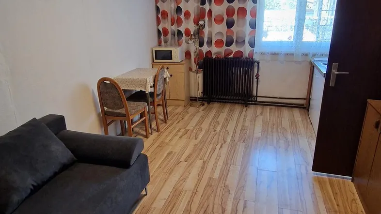 Gemütlicher Wohnbereich mit Sofa, Esstisch, kleiner Küchenzeile und Holzbalkendecke.