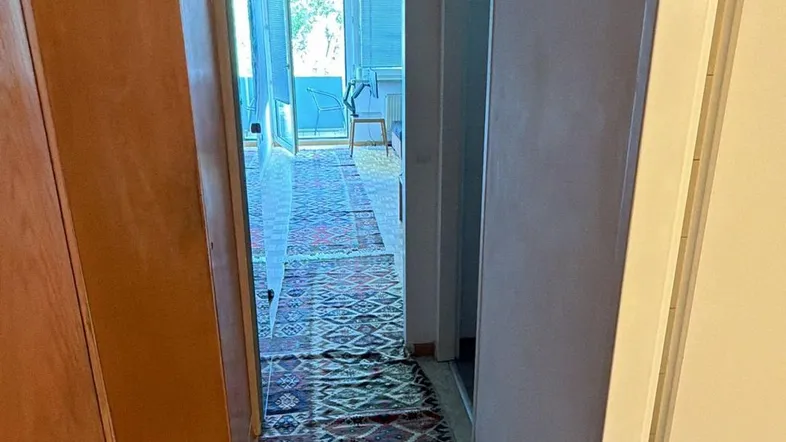 Langer Flur mit gemustertem Teppich, Einbauschränken und hellem Blick zum Balkon.
