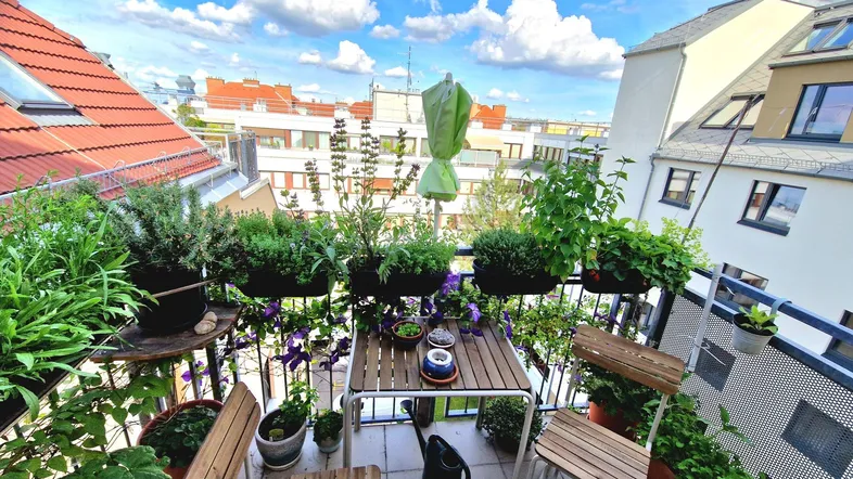 Gemütlicher Balkon mit vielen Pflanzen, kleinem Tisch und Stühlen, bietet einen schönen Stadtblick.