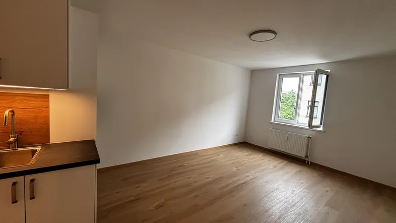 Helles Zimmer mit integrierter Küchenzeile, Holzboden und Fenster mit Blick ins Grüne.