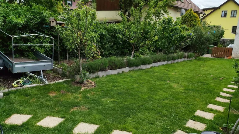 Gepflegter Rasenbereich mit einem Steinplattenweg und jungen Bäumen, umgeben von Hecken.