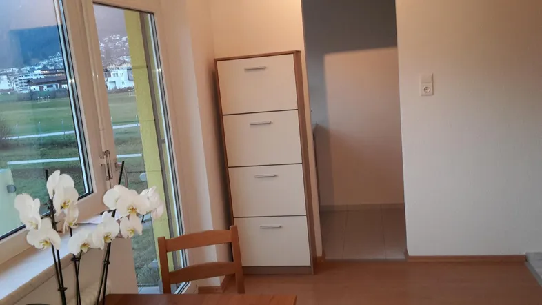 Heller Eingangsbereich mit Schrank, Orchideen und weitem Blick ins Grüne.