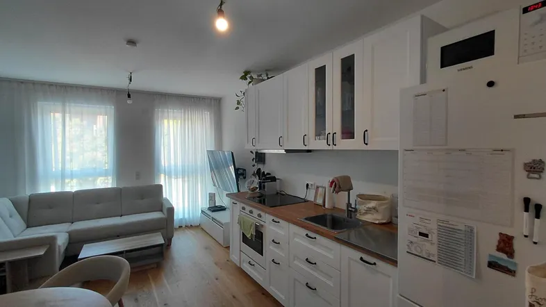 Offener Wohnbereich mit integrierter weißer Küche, Holzboden und großen Fenstern für viel Tageslicht.
