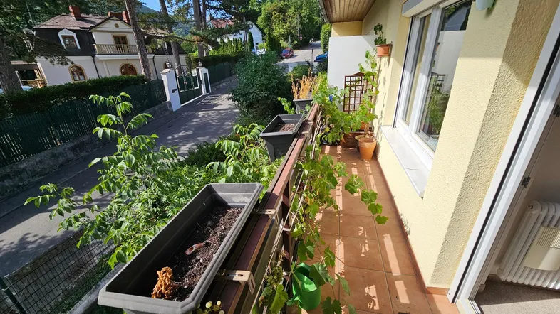 Heller Balkon mit Pflanzenkästen und Blick auf die ruhige Wohnstraße mit Bäumen.