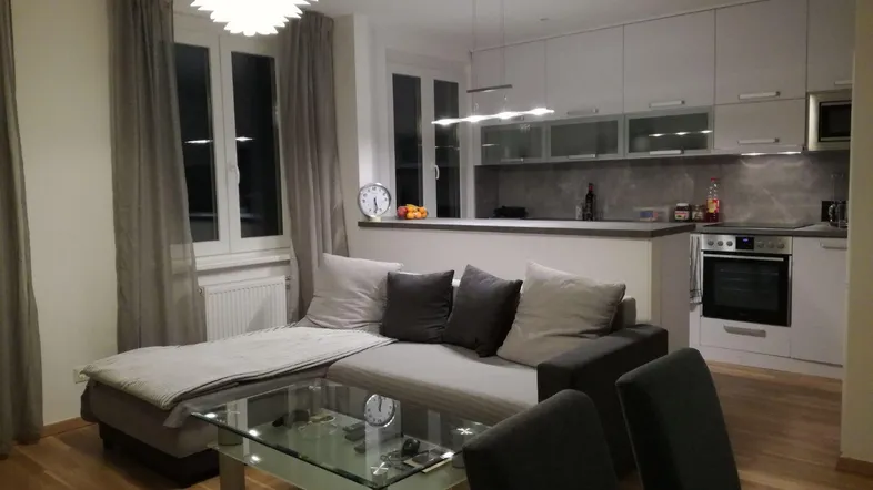 Moderner offener Wohnbereich mit integrierter Küche, bequemer Couch und Holzboden.