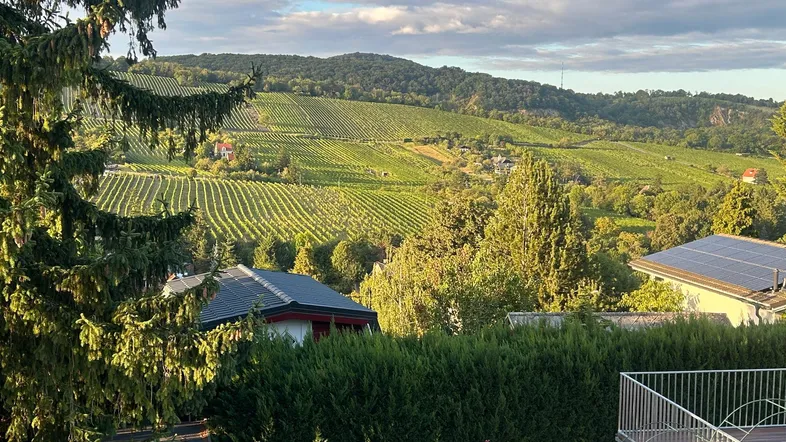 Panoramablick auf weitläufige Weinberge und grüne Hügel von einem sonnigen Balkon aus.