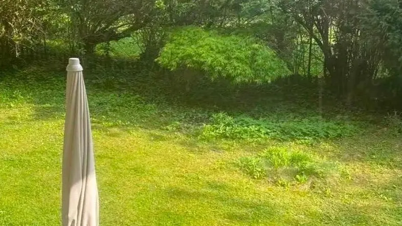 Grüner Garten mit Rasenfläche und Bäumen, von einem Fenster aus gesehen, mit Gartenmöbeln im Vordergrund.