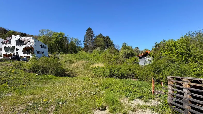 Unbebautes Grundstück mit viel Grün, Büschen und Bäumen unter blauem Himmel.