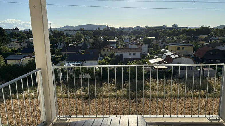 Balkon mit Holzboden und weitem Blick über die umliegende Wohnsiedlung und Felder.