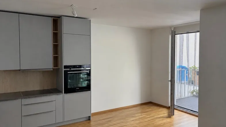 Moderne Küchenzeile mit integriertem Backofen, Induktionskochfeld und Zugang zu einem Außenbereich.