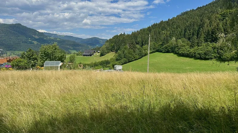 Blickrichtung Süd-Ost