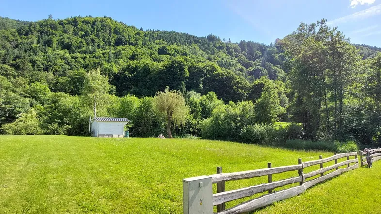 Weitläufige grüne Wiese mit einem kleinen Schuppen am Waldrand und bewaldeten Hügeln im Hintergrund.