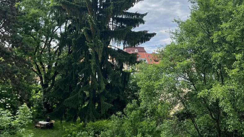 Blick von oben auf einen grünen Gemeinschaftsgarten mit hohen Bäumen und spielenden Kindern.