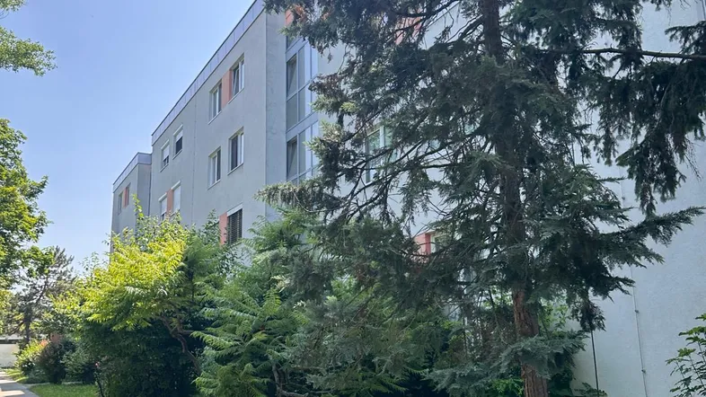 Ansicht eines Mehrfamilienhauses mit Bäumen und Grünflächen an einem sonnigen Tag.