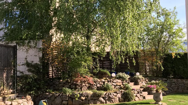 Gepflegter Gartenbereich mit Rasenfläche, Bäumen und terrassierten Blumenbeeten unter blauem Himmel.