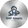 Logo SHP Assets GmbH