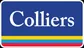 Makler COLLIERS INTERNATIONAL Immobilienmakler GmbH logo