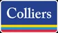 Makler COLLIERS INTERNATIONAL Immobilienmakler GmbH logo