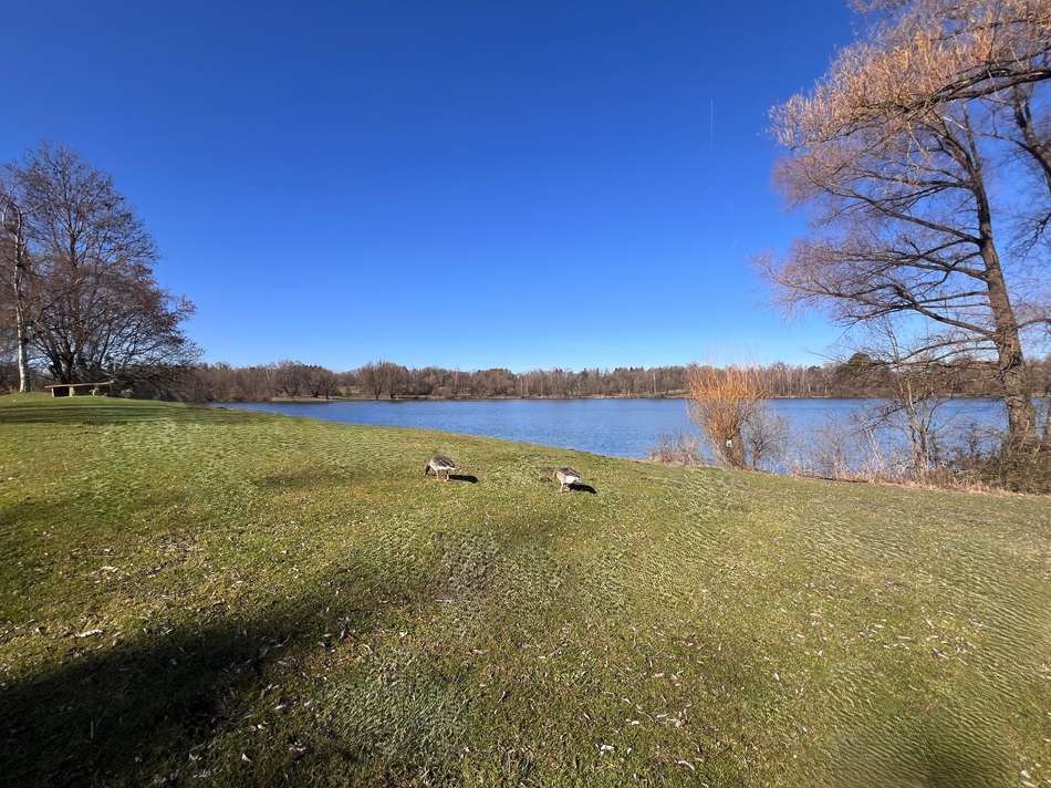 nahe Feldmochinger See