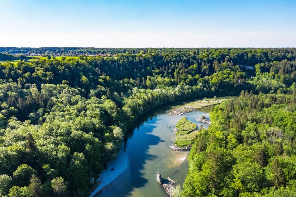 Isarauen