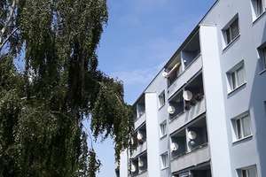 Wohnung in ruhiger Wohnlage mit großer Grünfläche – Birkenweg 6, 6184 Kabelsketal – Vorschaubild 3