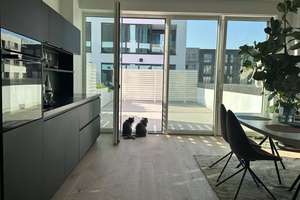 Waterside living: new-build gem with a 40 m² sun terrace, 1 minute away from Ship Canal – 10557 Moabit, Berlin – Vorschaubild 6