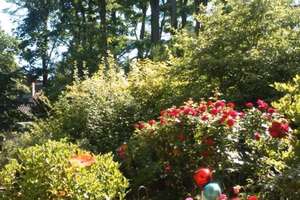 ** Naturverbundene 4-Zimmer-Terrassenwohnung zur Selbstnutzung, Bestlage Westend **