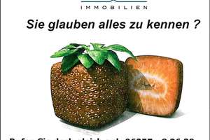 ### Einzigartiges Immobilien-Ensemble in Seeheim-Jugenheim im Ortsteil Malchen ### – Die vollständige Adresse der Immobilie erhältst du vom Anbieter., 64342 Seeheim-Jugenheim – Vorschaubild 26