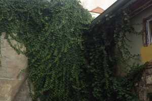 eines der ältesten Häuser Eichstätts im Herzen der Altstadt – Webergasse 38, 85072 Eichstätt (Kreis) – Vorschaubild 4