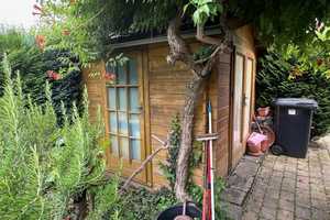 ++ Lichtdurchflutetes 1-2-Parteienhaus mit 2 Garagen, Carport und großem Garten in Ortsrandlage ! ++ – Südliche Weinstraße (Kreis) – Vorschaubild 16