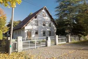 Effizientes Raumwunder in grüner Umgebung